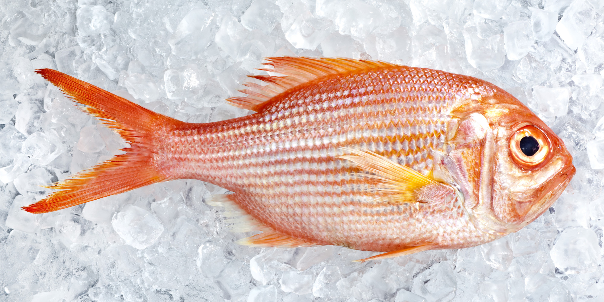 smelling-something-fishy-actually-makes-people-more-suspicious-huffpost