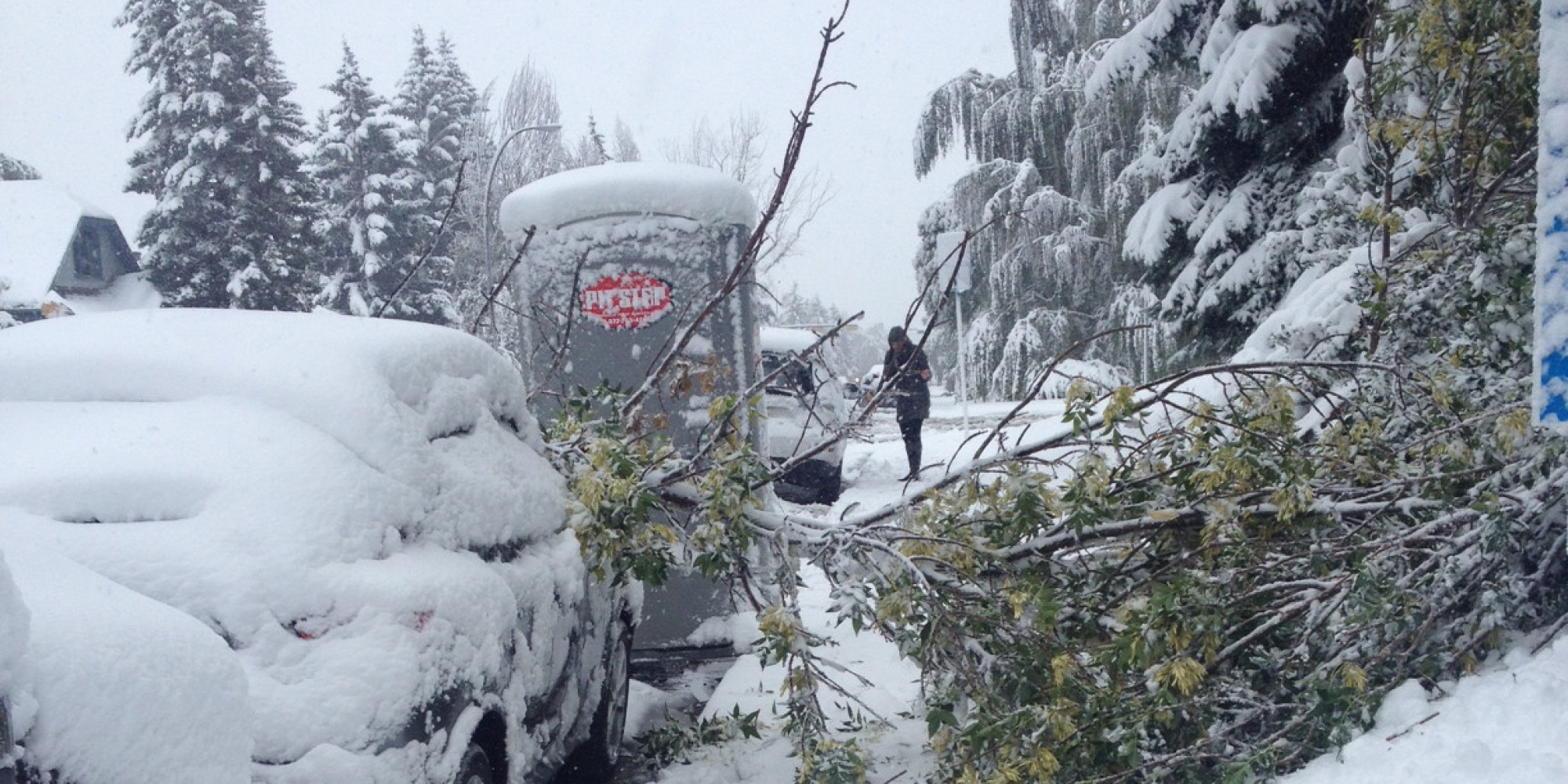 Calgary Snow Knocks Out Power, Emergency Centres Open (PHOTOS)