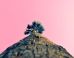 This Is What Happens When You Look Up