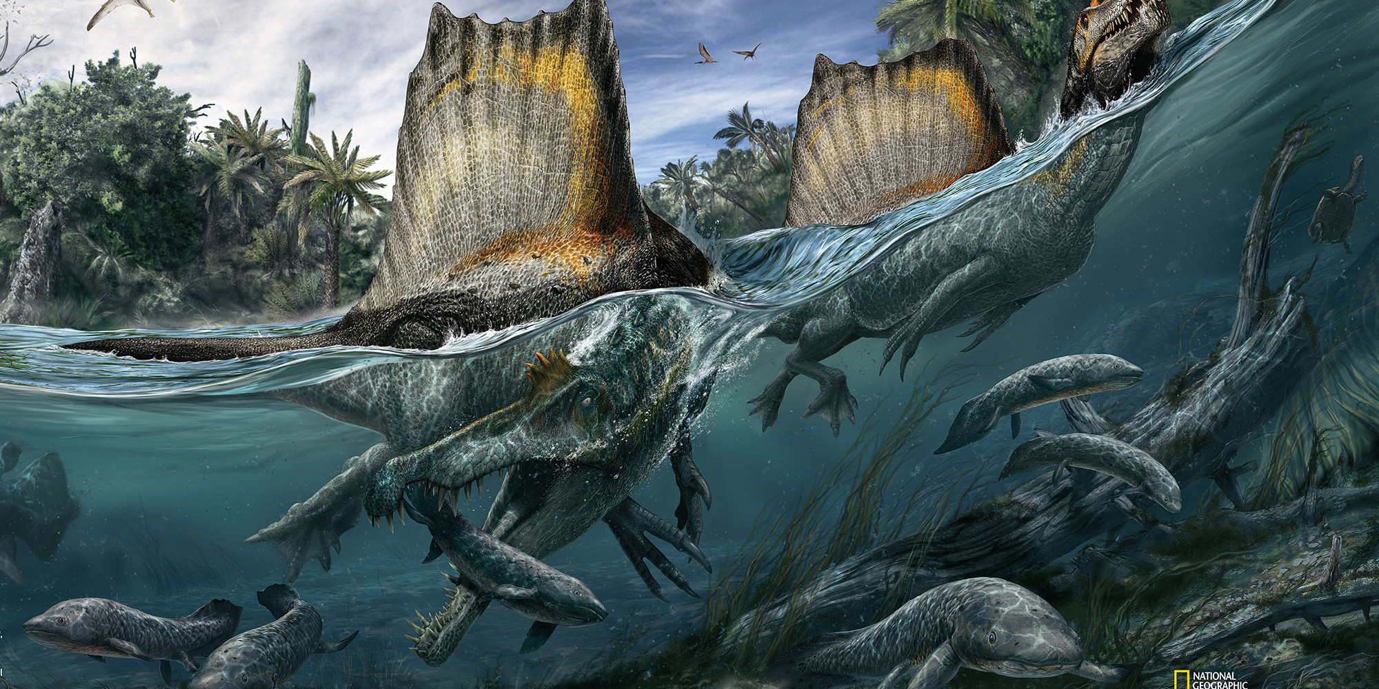 spinosaurus live in water