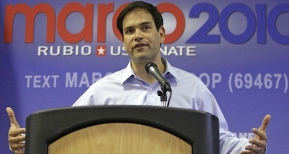 Florida Senate Poll Marco Rubio