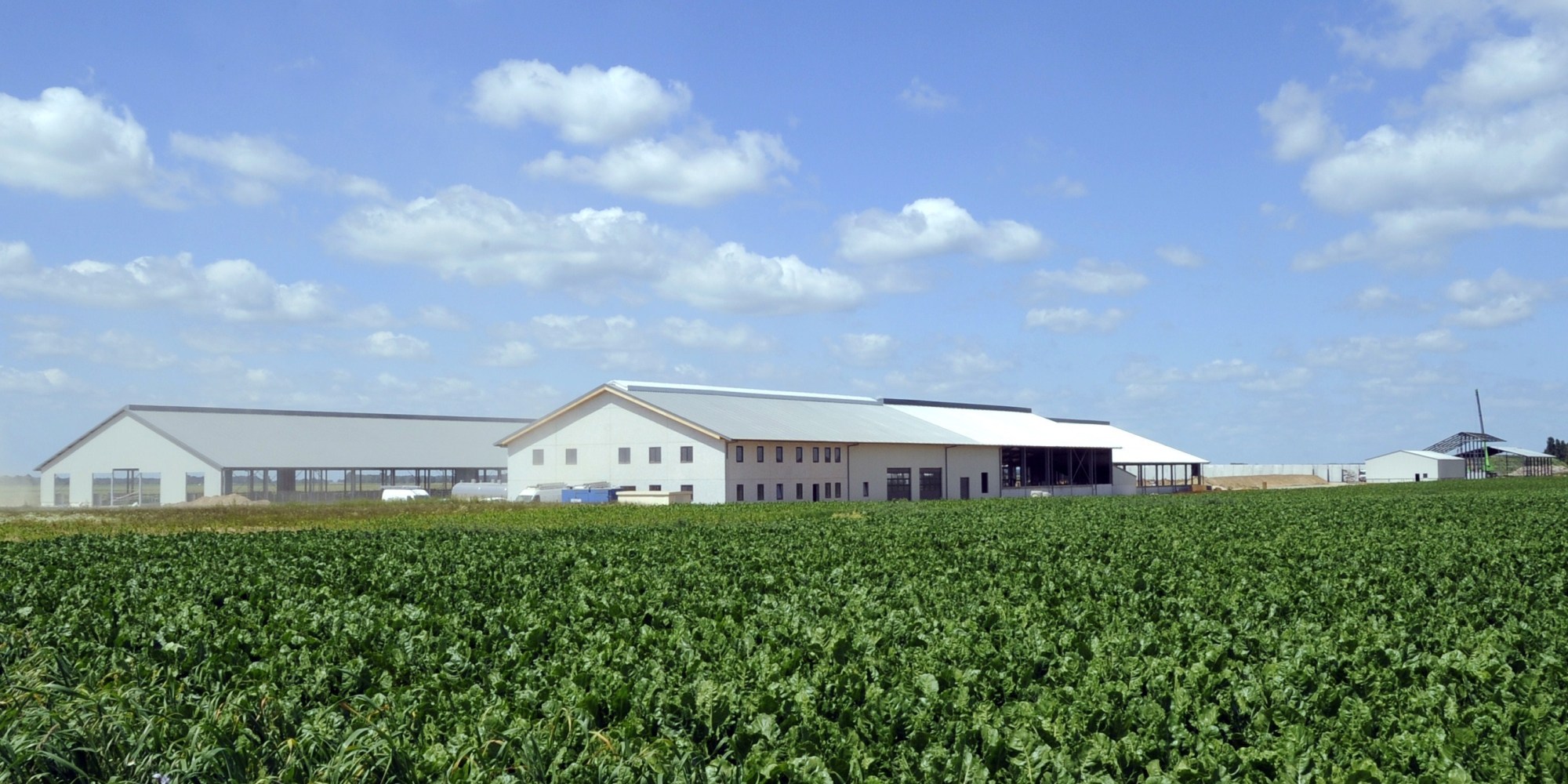 The Increasing Threat Of Factory Farms HuffPost