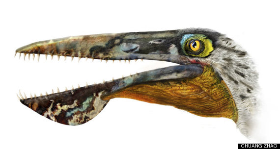 pterosaur head