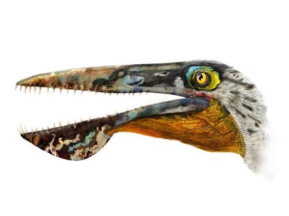 avatar dinosaure