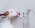 Dog Owner Draws His Bull Terrier Into The Kind Of Adventures A Dog Can Only Dream Of