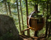 11 Epic Tree Houses That Will Make Every Single Kid Jealous