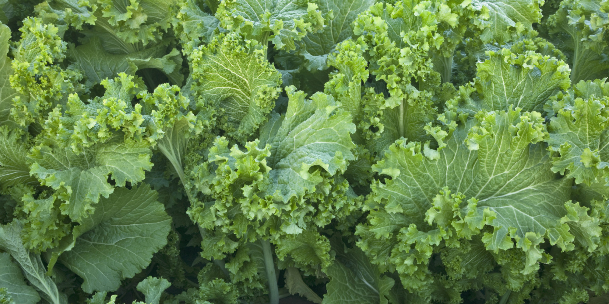 Mustard Greens and Pot Liquor Love HuffPost