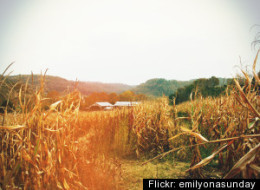 Weekend Road Trip: Autumn Harvest Fest In Wisconsin Dells