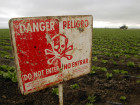 Common Pesticide May Face Tough Restrictions In California