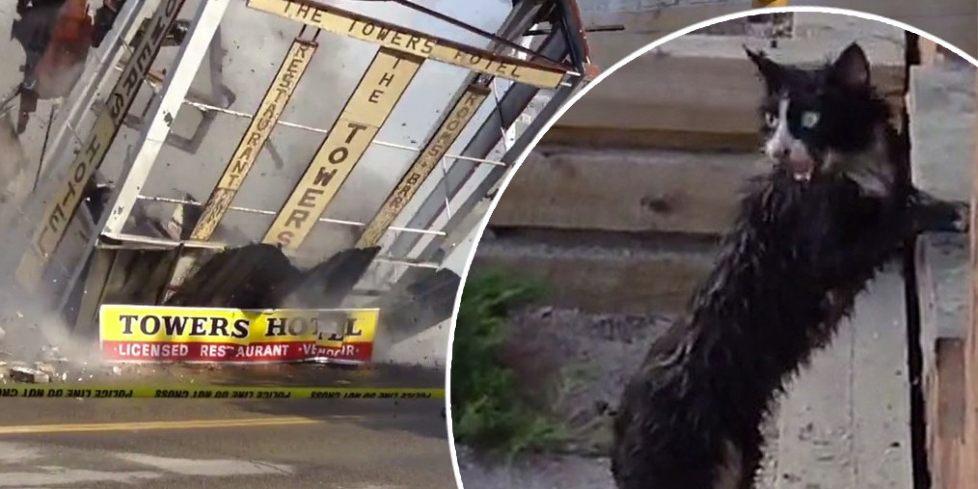 Watch Sylvester The Cat's Incredible Escape From This Burning, Collapsing Hotel HuffPost UK