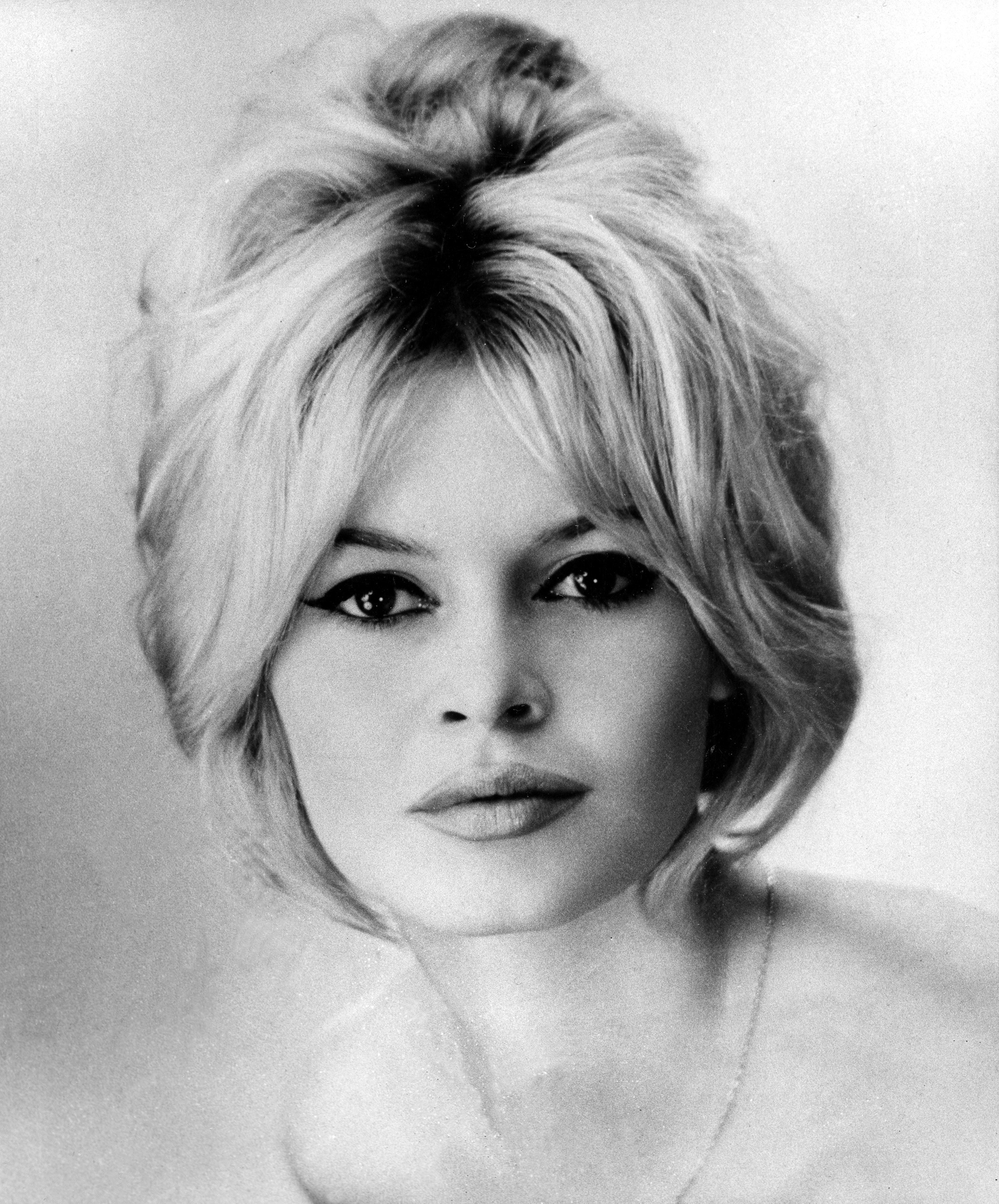 brigitte bardot bilder