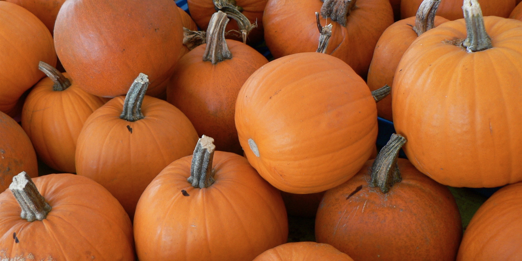 How To Cook With Fresh Pumpkin HuffPost