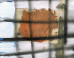 Matt Arbuckle on the ImageBlog