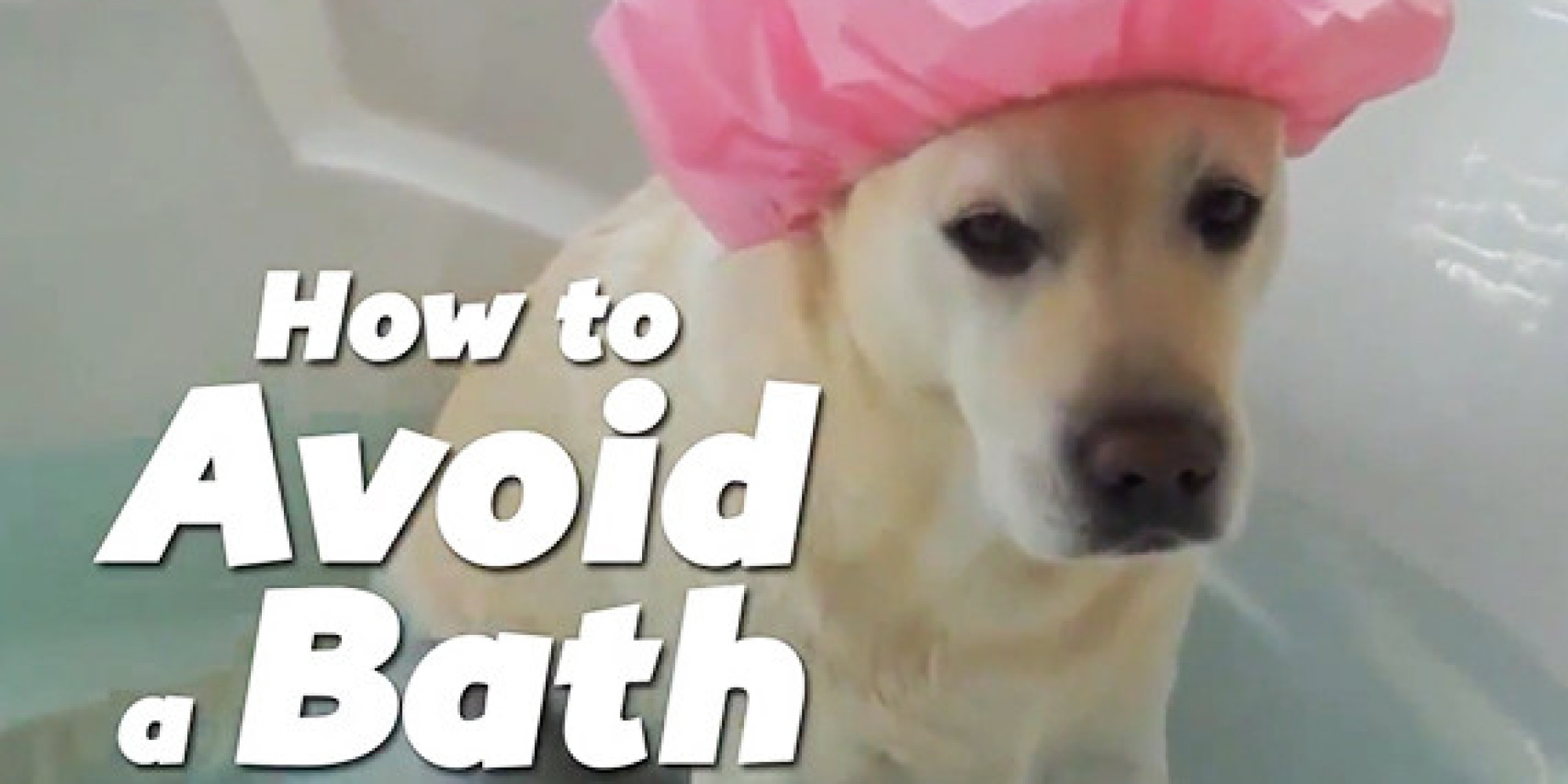 These Kids And Pets Hate Taking Baths, Try To Avoid Them By Being