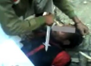 Papua Video
