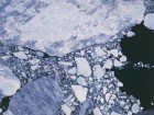 Antarctic Sea Ice Just Hit A New Maximum