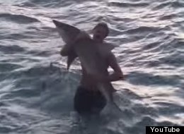 Meanwhile, In Florida... A Man Grabs A Shark With His Bare Hands
