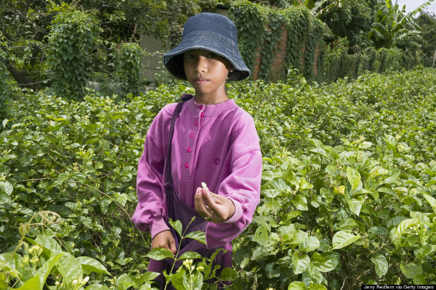 world day against child labor girl