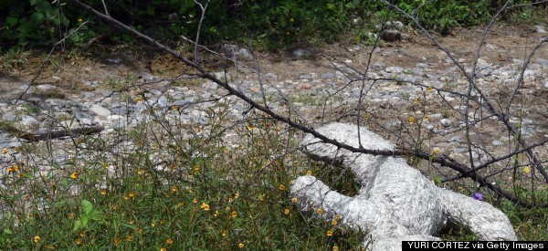 Missing Mexican Students Not In First Mass Grave