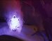 This Is Night Skiing As You've Never Seen It: With LED Ski Suits