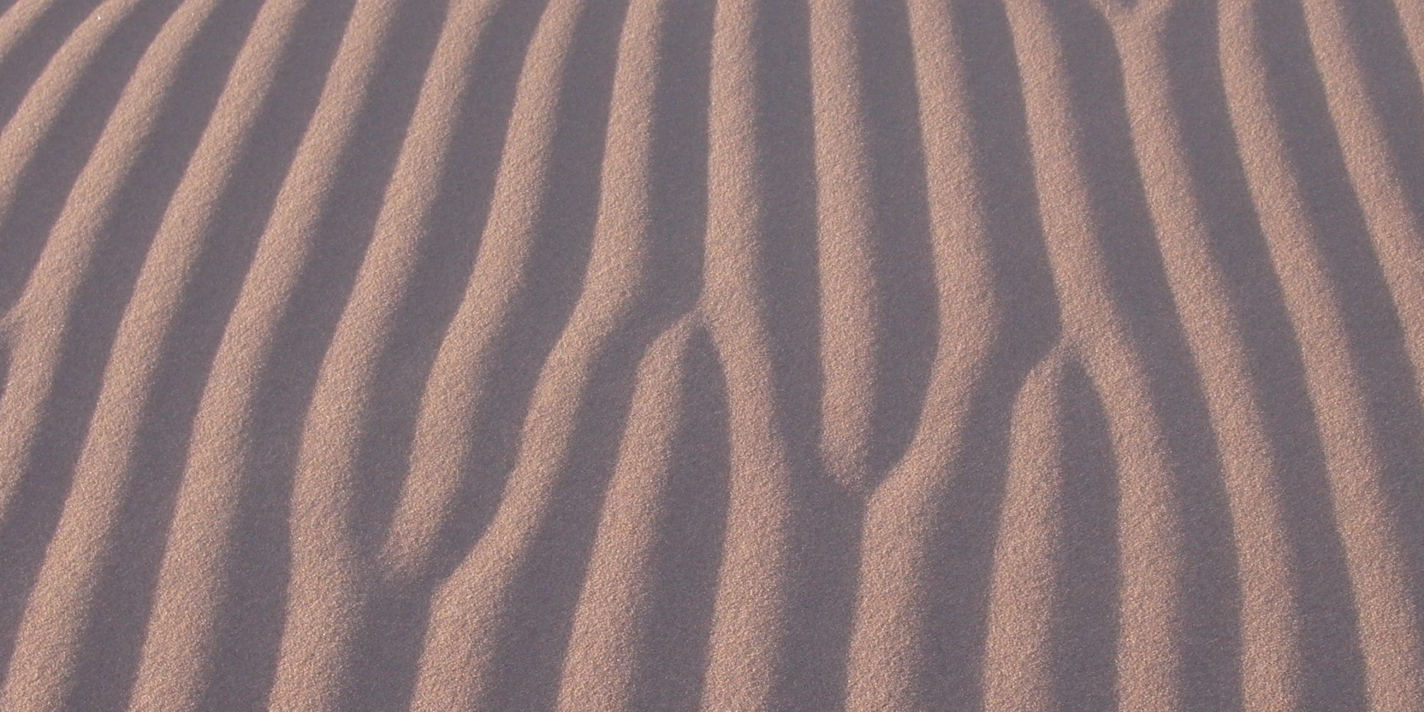 Rides Definition En Francais at Charles Creamer blog