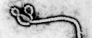 Ebola Virus