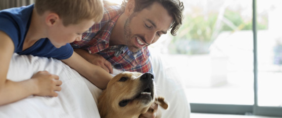 Dating a single dad with shared custody-in-Weimaroma