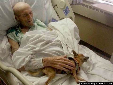 sick man reunited with dog