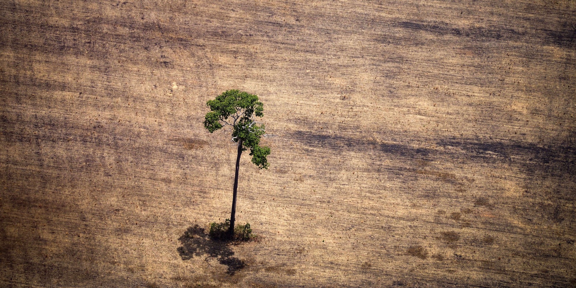 Scientists Mull Change Of Epoch To Reflect Human Impact On The Planet HuffPost