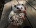 17 Adorably Nonsensical Things That Make Zero Sense, And Therefore Are Perfect