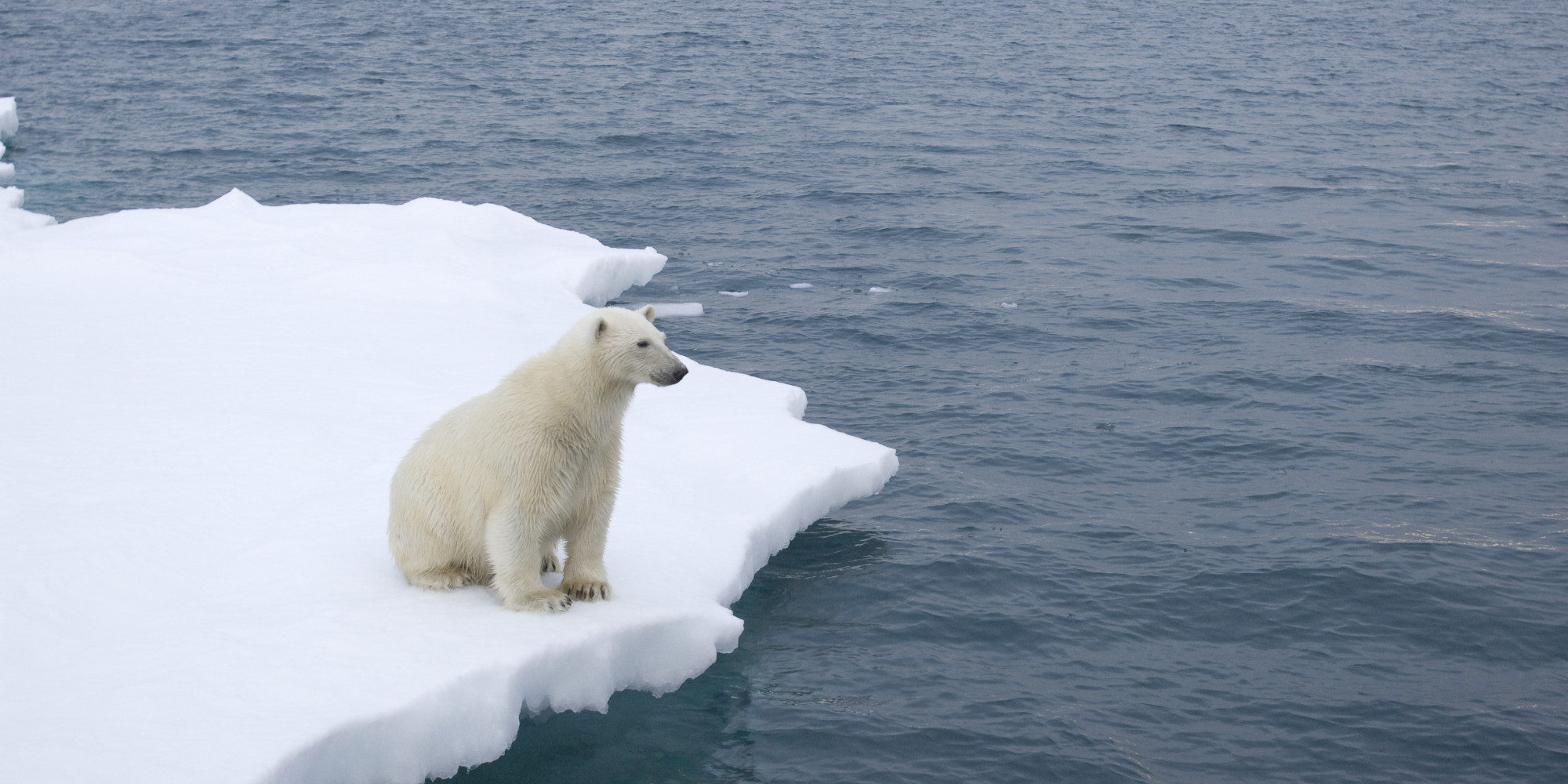 Climate Change May Cause 'Serious, Pervasive And Irreversible' Damage