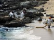 How One South American Oil Spill Is Devastating Local Fisheries And Wildlife