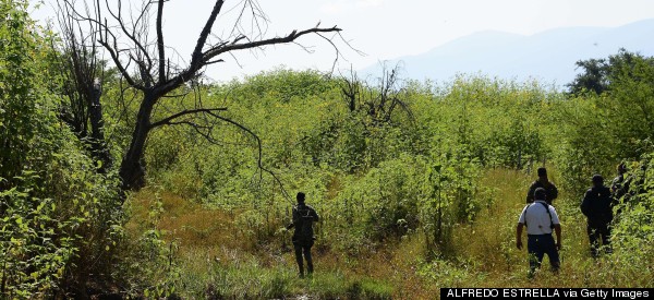 Mexico Is Looking For 43 Missing Students. What Has Been Found Is Truly Terrifying