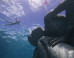 Now You Can Dive To A Massive Underwater Sculpture Because Art