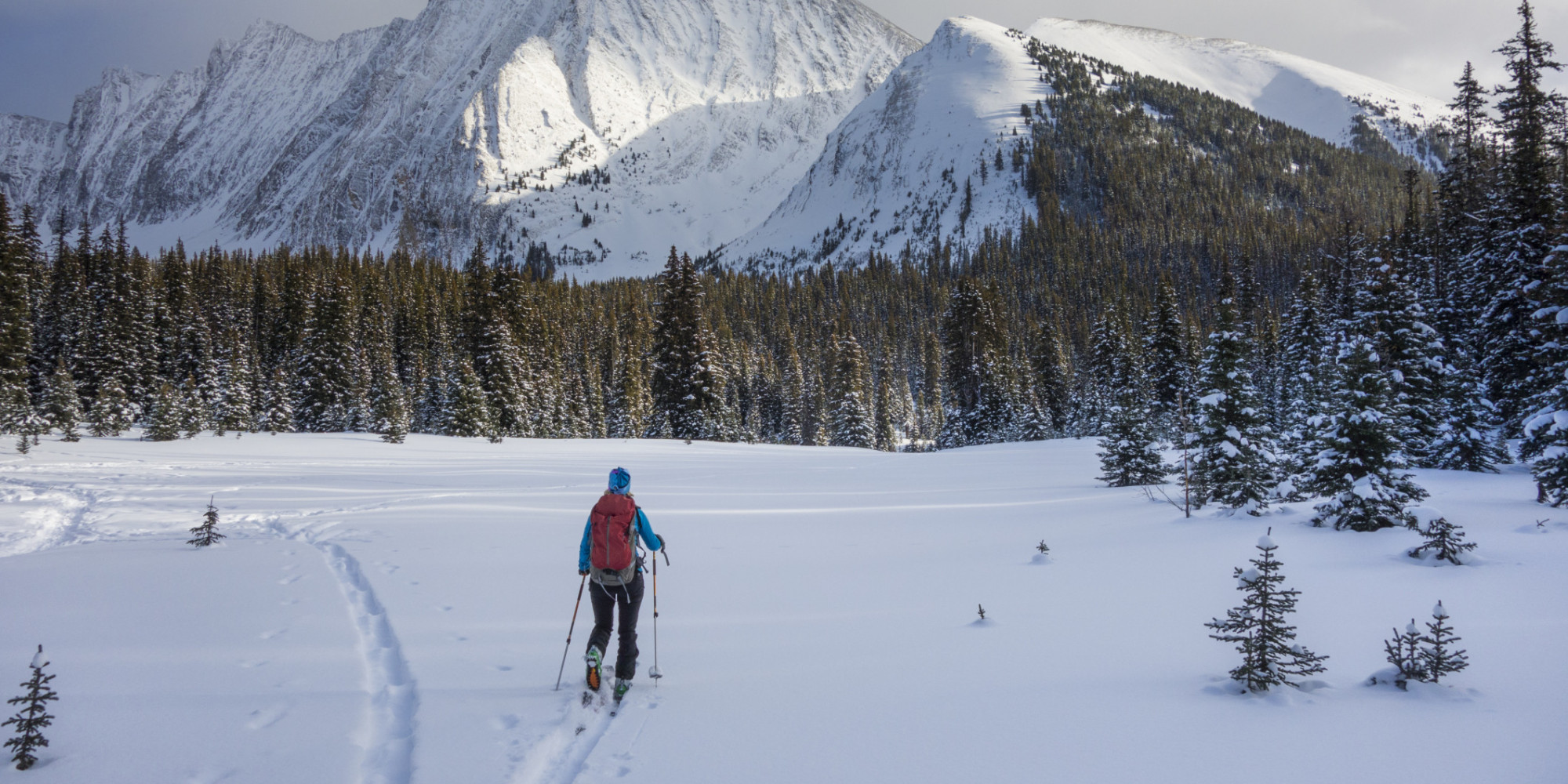 Alberta Might Get A Winter Weather Reprieve