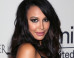 Naya Rivera Dons Slinky Backless Dress To UNICEF Masquerade Ball