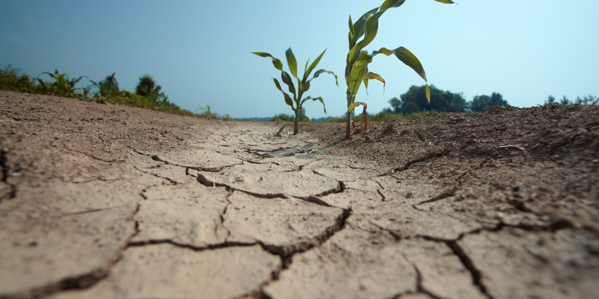 radio-provides-a-lifeline-for-drought-affected-farmers-in-ethiopia