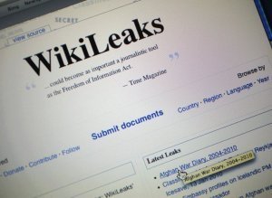 Wikileaks Website