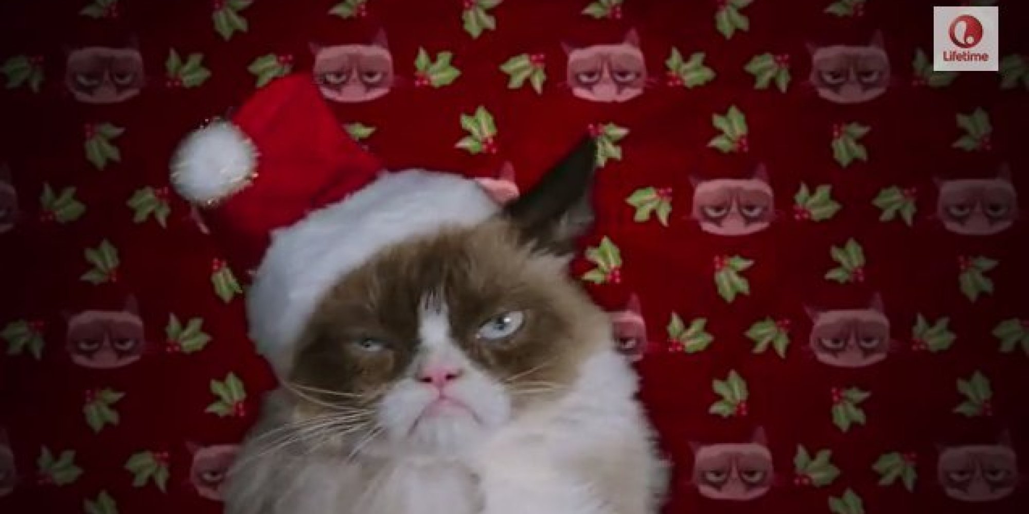 Grumpy Cat's Christmas Movie Trailer Is Here - And She's Not Happy