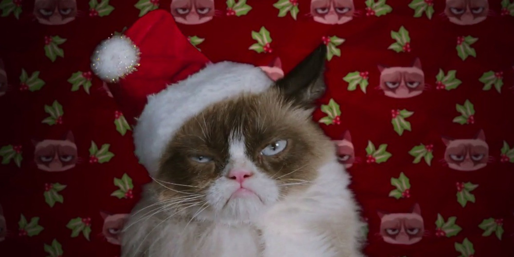 Grumpy Cat Movie Trailer Is Your Early Christmas Gift