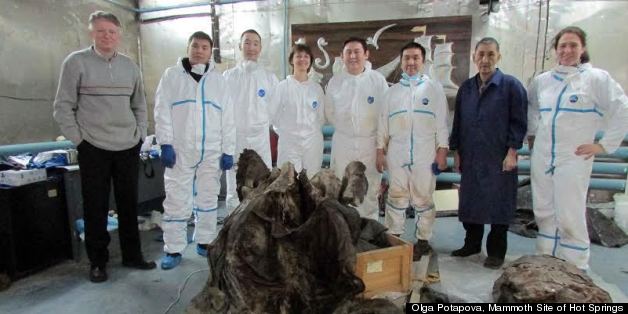 Scientists Buzzing About 9,300-Year-Old Frozen Mummy
