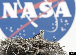 Nasa Announcement Live