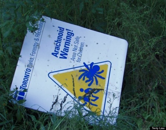 toronto post apocalypse