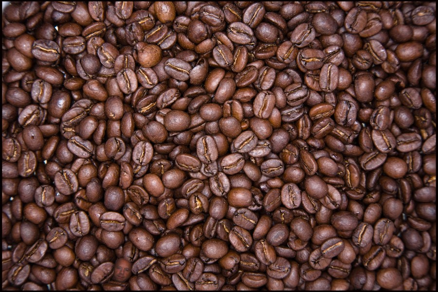 o-COFFEE-BEAN-900.jpg
