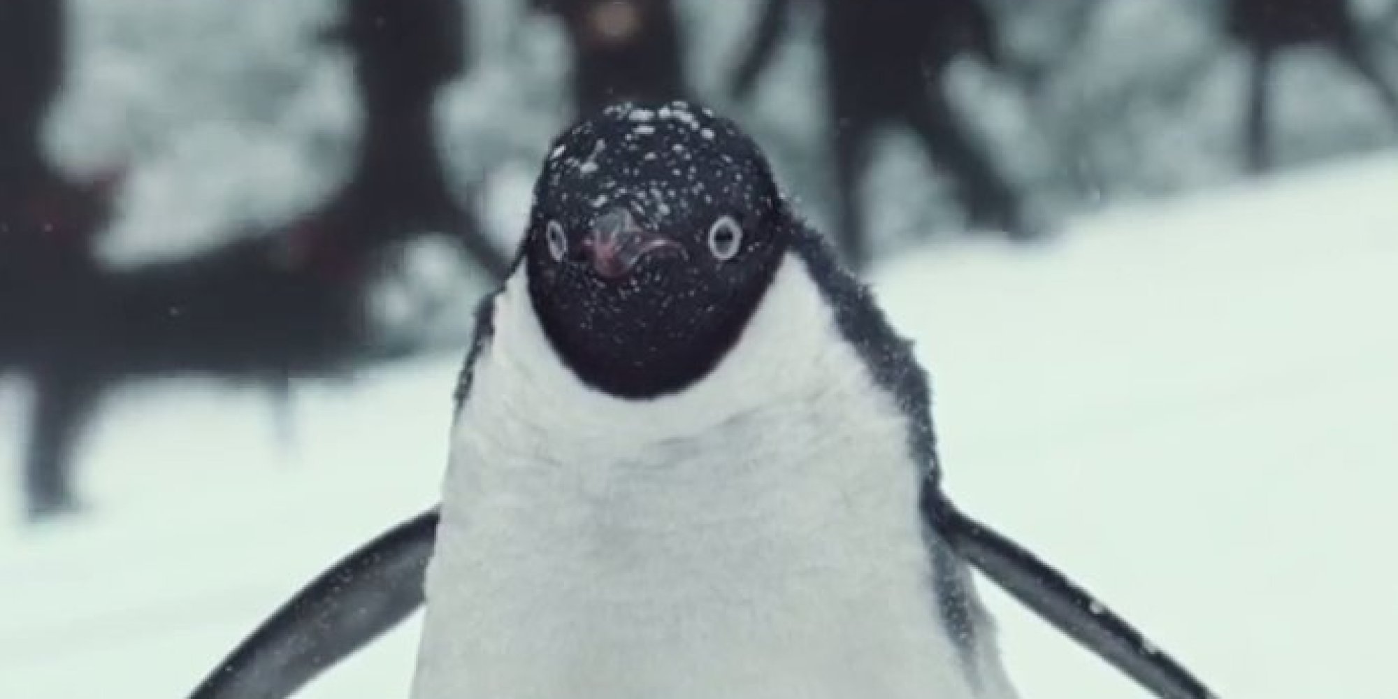 John Lewis Christmas Advert 2014 Best And Funniest Twitter Reactions