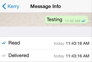 Image result for find out your message has been read on whatsapp