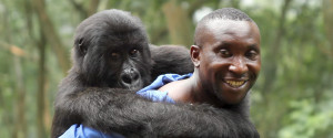 VIRUNGA12352