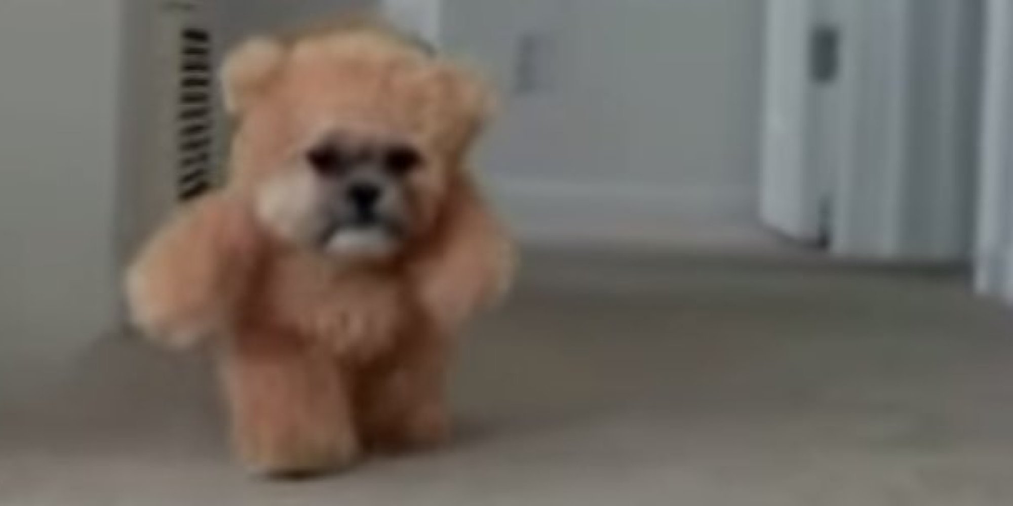 real life looking dog teddy