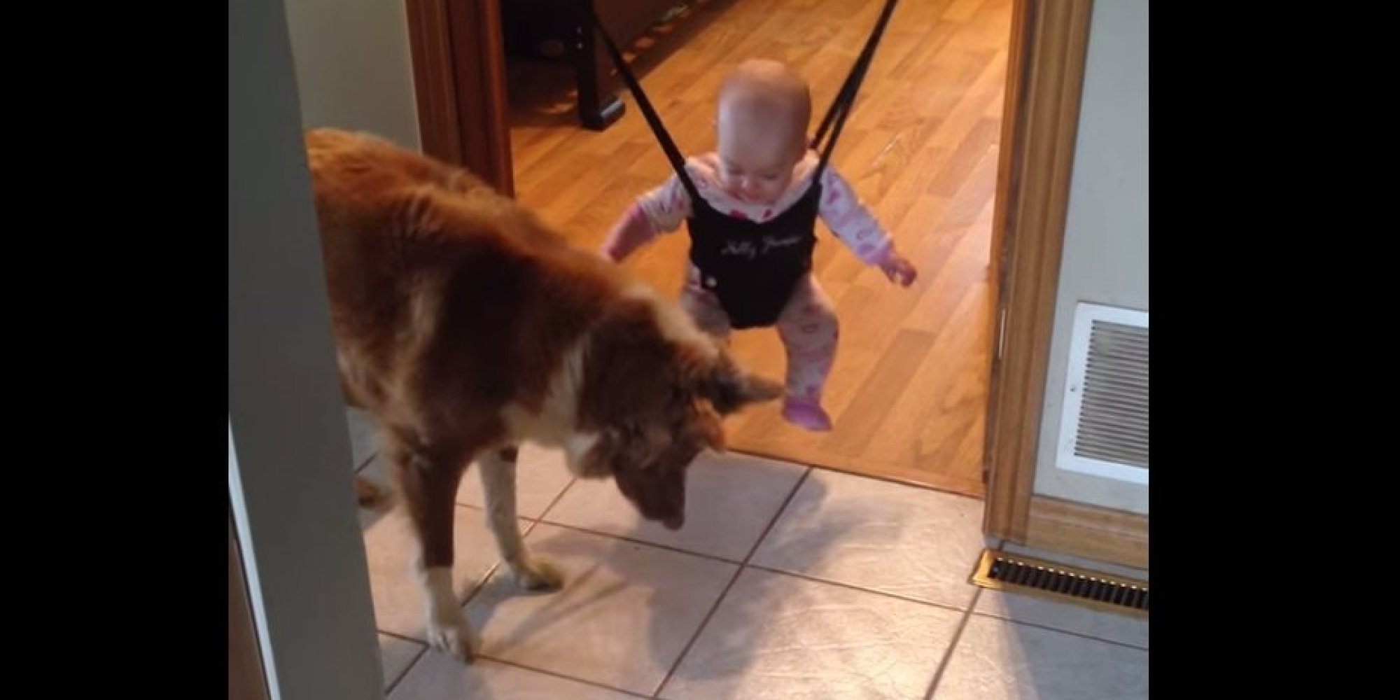 Dog Pounces On Baby's Shadows, Unwittingly Shows Baby How To Use Her