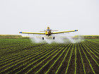 Landmark Study Finds Pesticides Linked To Depression In Farmers